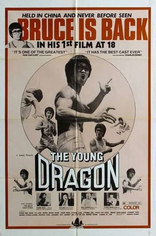 Young Dragon poster