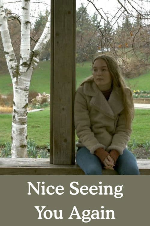 Nice Seeing You Again poster