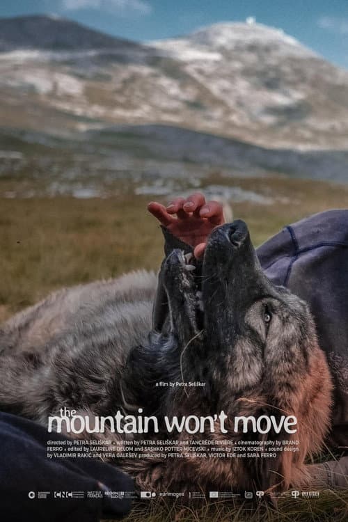 The Mountain Won’t Move poster