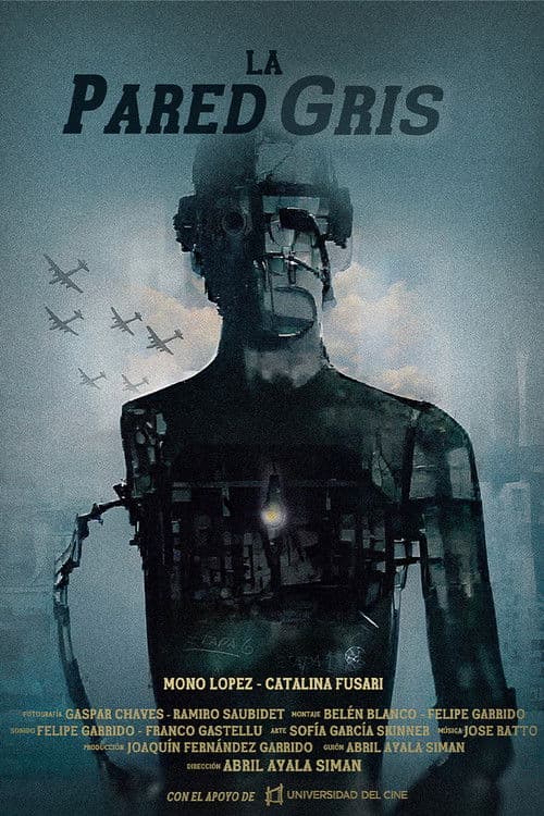 La pared gris poster