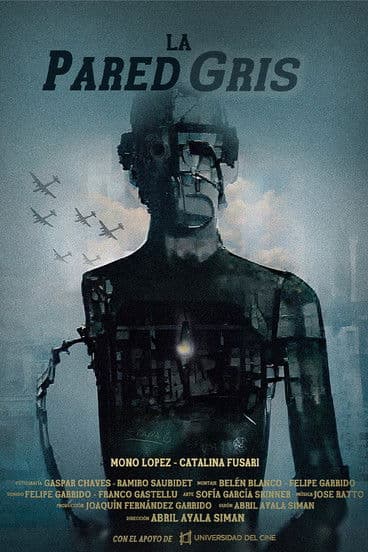 La pared gris poster