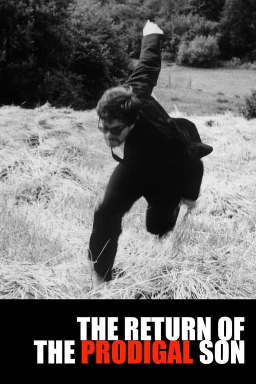 The Return of the Prodigal Son poster