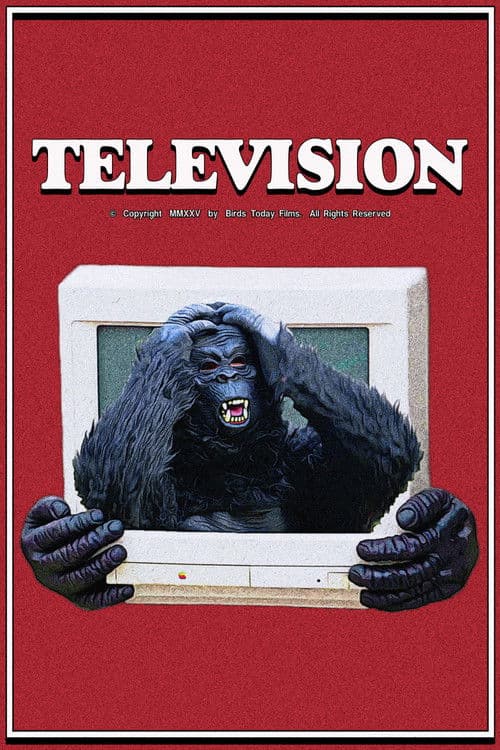 Television poster