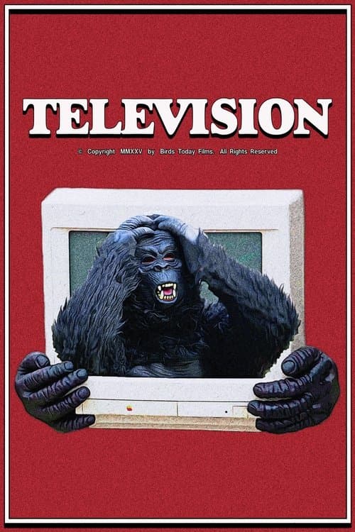 Television poster