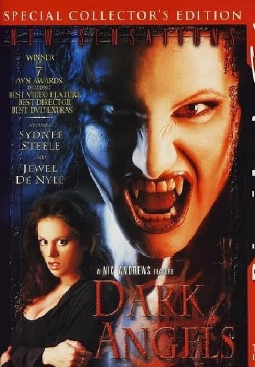 Dark Angels poster