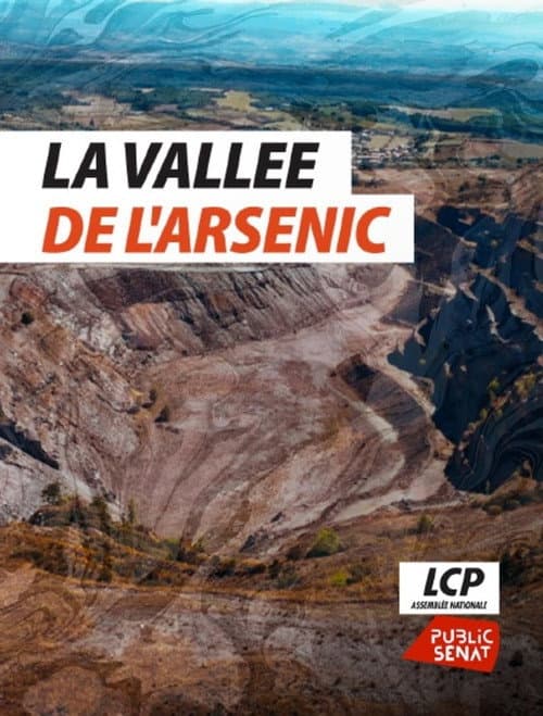 La vallée de l'arsenic poster