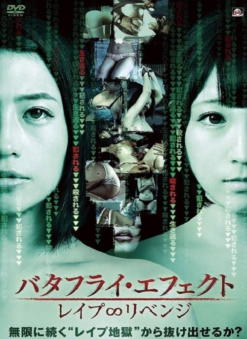 Butterfly Effect: Rape ∞ Revenge poster