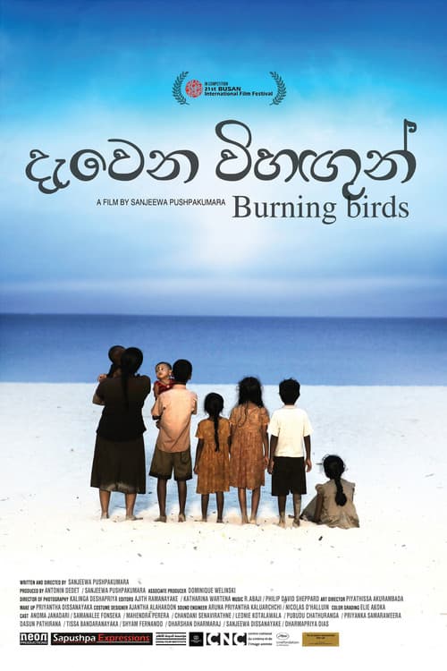 Burning Birds poster
