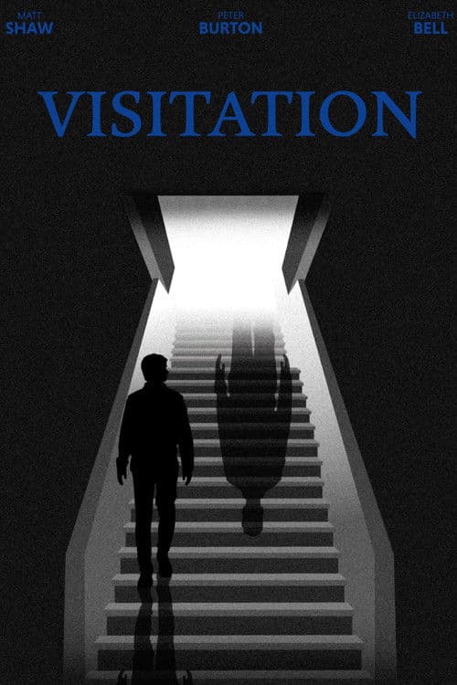 Visitation poster
