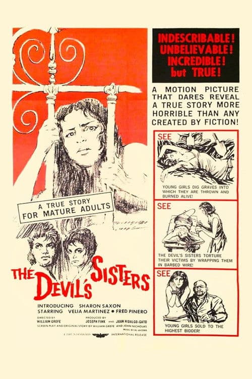 The Devil's Sisters poster