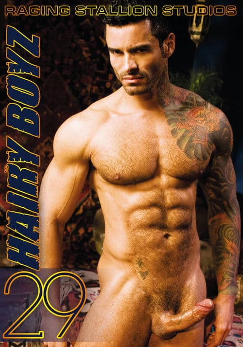 Hairy Boyz 29 poster