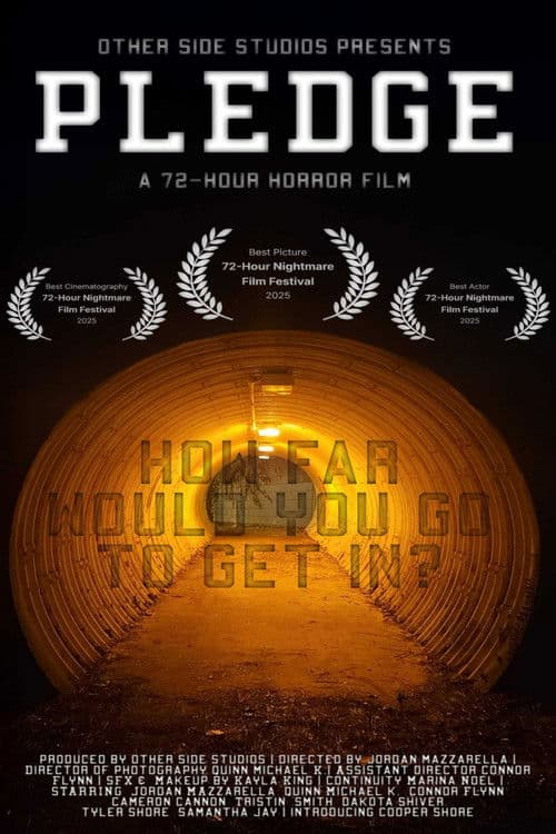 Pledge poster
