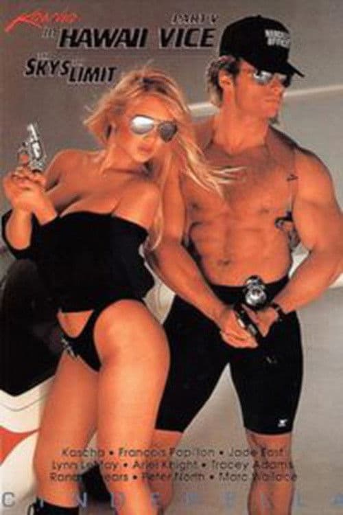 Hawaii Vice 5 poster