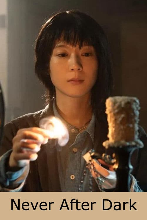 Never After Dark poster