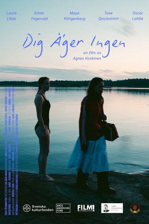 No One Owns You poster