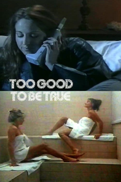 Too Good to Be True poster