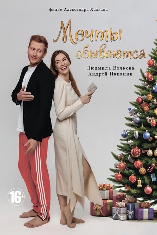 Мечты сбываются poster