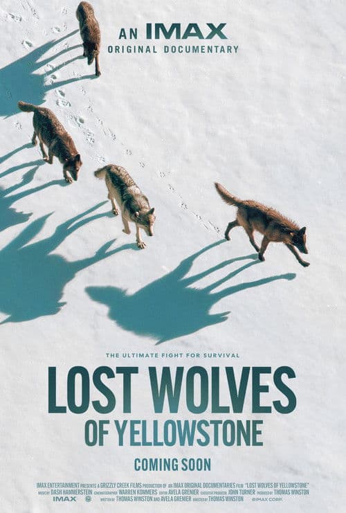 Lost Wolves of Yellowstone poster