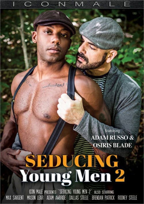 Seducing Young Men 2 poster