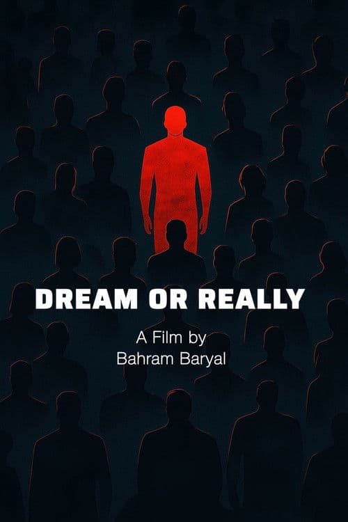 Dream or Reality poster