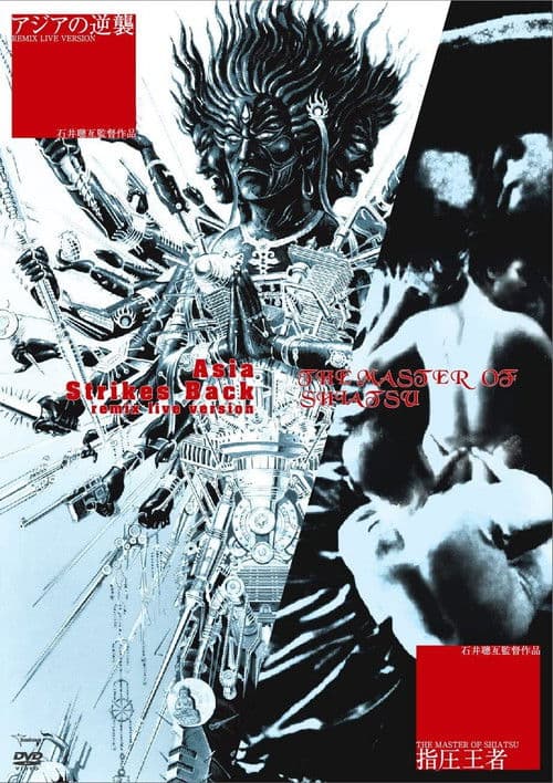 The Master of Shiatsu poster