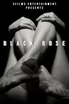 The Black Rose poster