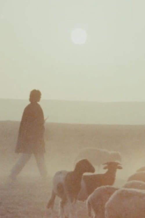 Woman is Sweeter poster