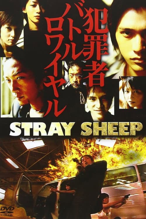 STRAY SHEEP poster