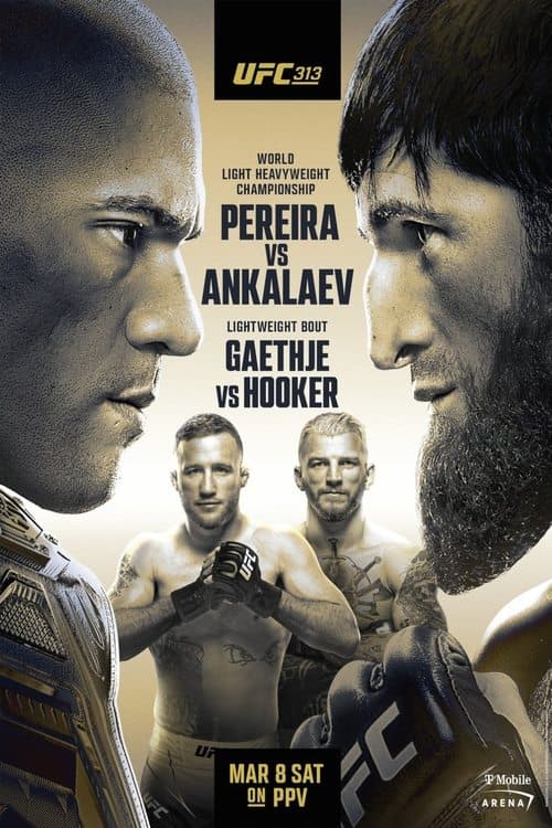 UFC 313: Pereira vs. Ankalaev poster