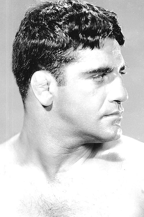 Sammy Stein profile photo