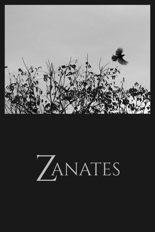 Zanates poster