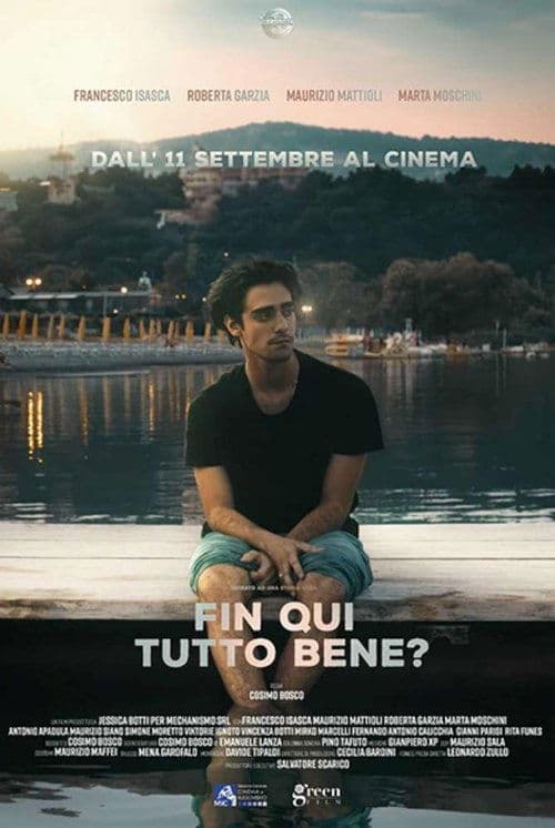 Fin qui tutto bene? poster
