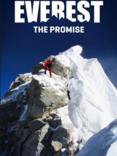 Everest the Promise poster