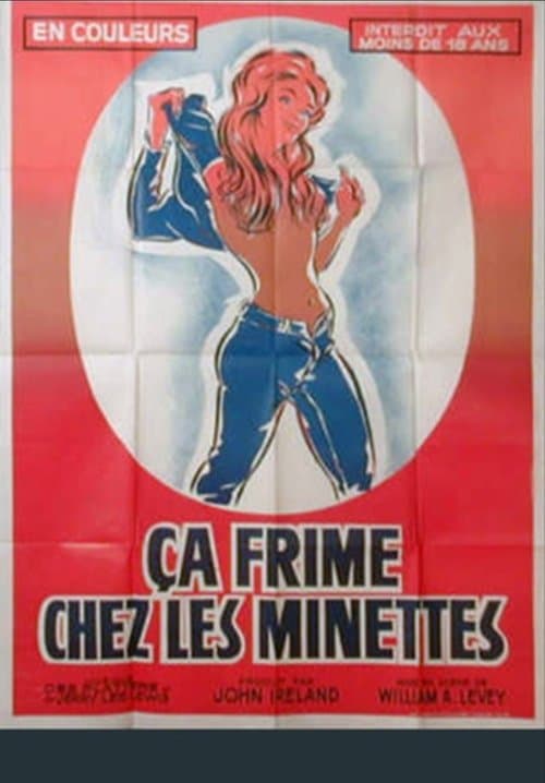 Ça frime chez les minettes poster