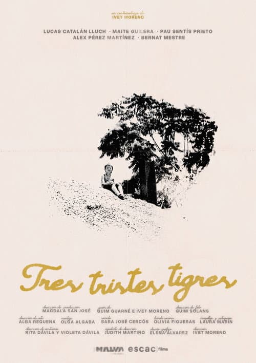 Tres tristes tigres poster