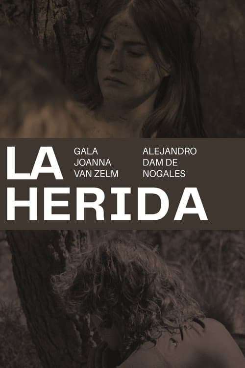 La herida poster