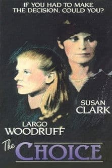 The Choice poster