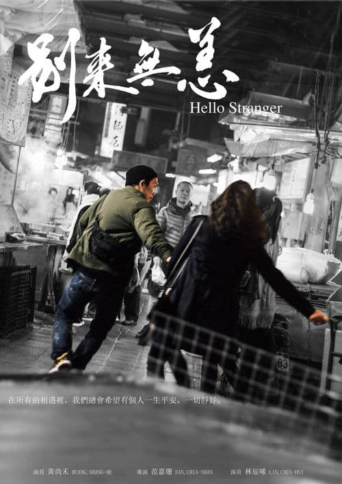 Hello Stranger poster