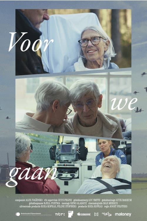 Voor We Gaan poster