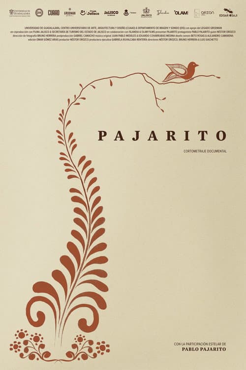 Pajarito poster