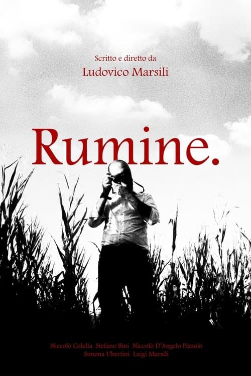 Rumine. poster