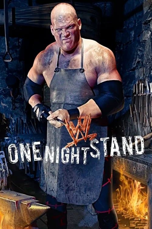 WWE One Night Stand 2008 poster