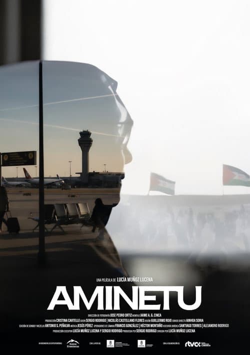 AMINETU poster