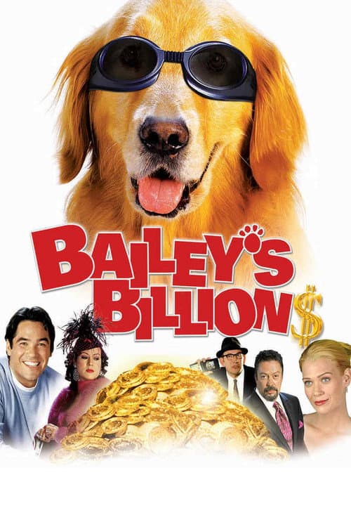 Bailey's Billion$ poster