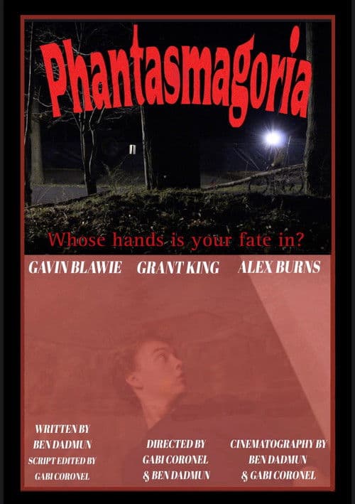Phantasmagoria poster