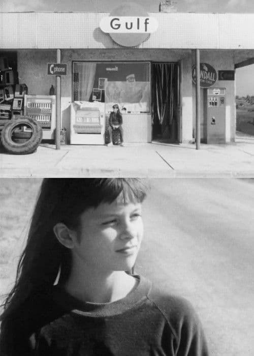 The Knight of the Rose poster