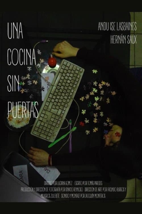 A kitchen without doors poster