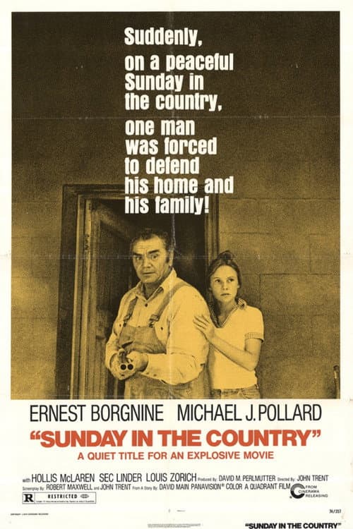 Sunday in the Country poster