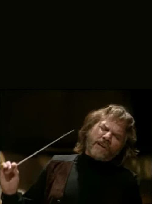 Wie aus Weiter Ferne poster