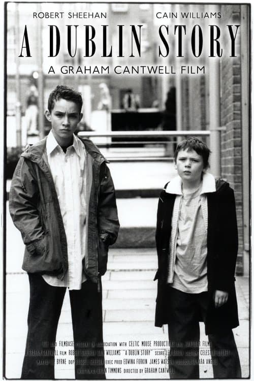 A Dublin Story poster
